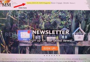 Screenshot of sign-up for newsletter