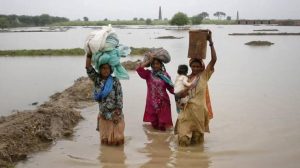 pk fLOOING 1